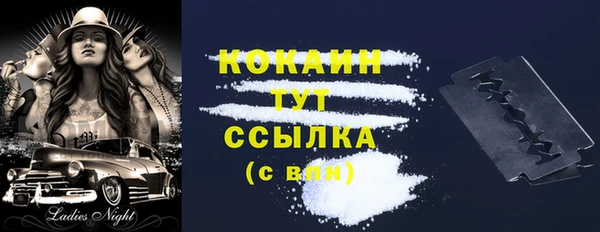 дмт Нея